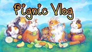 Bay Area Guinea Pig Pignic 2014 VLOG!!!