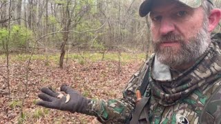This is a huge problem for Mississippi turkeys