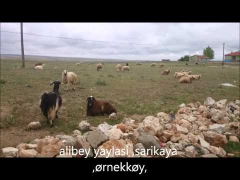 yorgundemokrat seyir defteri 2014,alibey yaylasi ,sarikaya,ornekkoy.