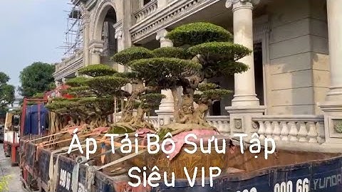 Hoàng Lịch Thiệp đích thân áp tải 6 tác phẩm Siêu VIP của Đại Gia Thông Mơ về triển lãm Đông Anh