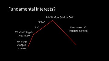 Equal Protection: Fundamental Interests Strand: Introduction