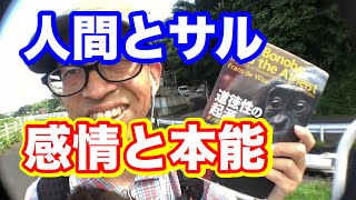 【字幕入】感情と本能・『道徳性の起源〜ボノボが教えてくれること』フランス・ド・ヴァール著