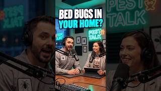 Pest Control Expert Reveals the Truth About Bed Bugs and how to get rid of them 🛏️