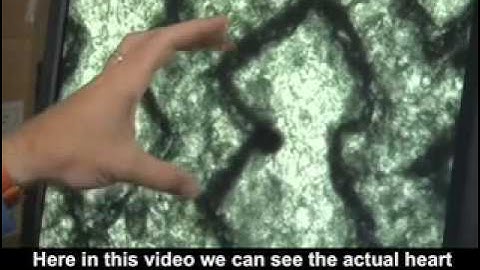 2009 American Recovery and Reinvestment Act: MIT