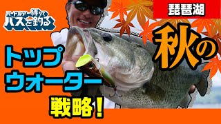 北湖クオリティを絞り出す 秋のトップウォーター戦略