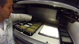 Lab automation - colony picking robot setup