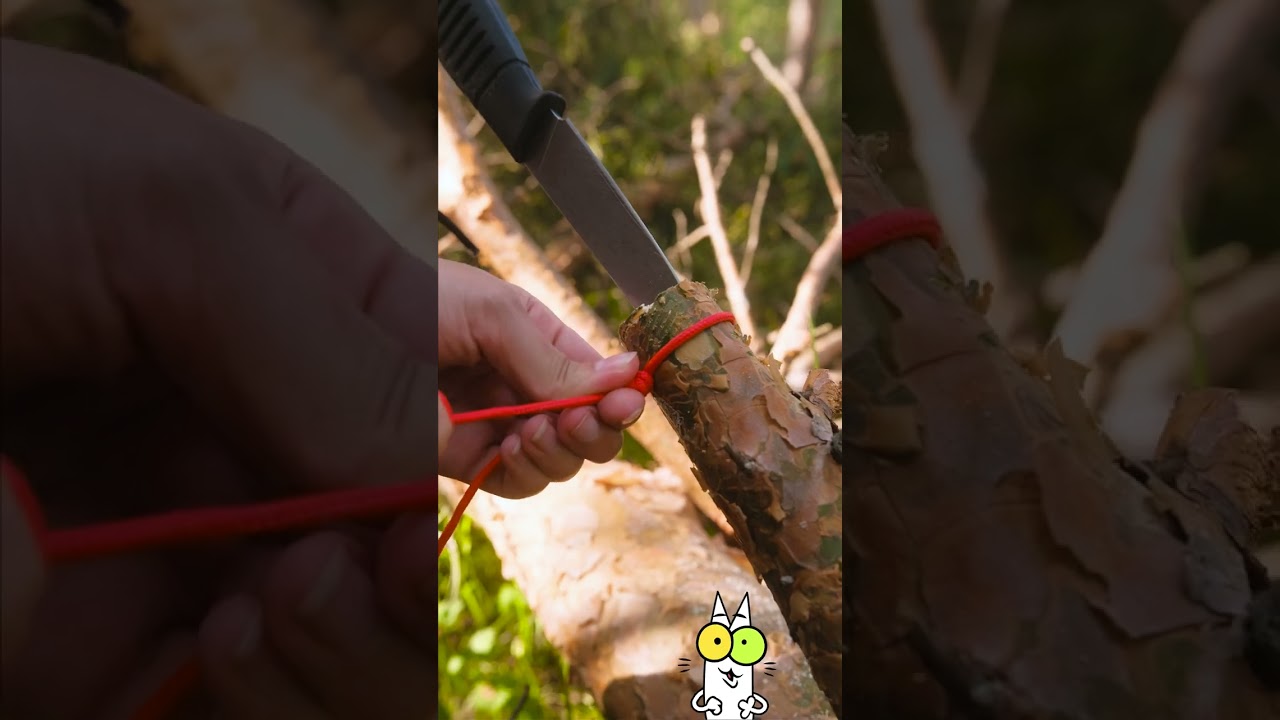 Crafty Queen: DIY Survival Gadget for Adventurers! 🌲✨ 