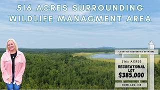 516±  Recreational Acres Surrounding State Wildlife Management Area | Maine Real Estate