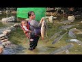 A Single Mother And Her Young Son Make Traps To Catch Large Carp In The River mp3