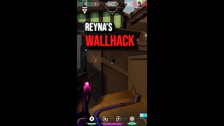 Does Reyna have Wallhack?!🤔