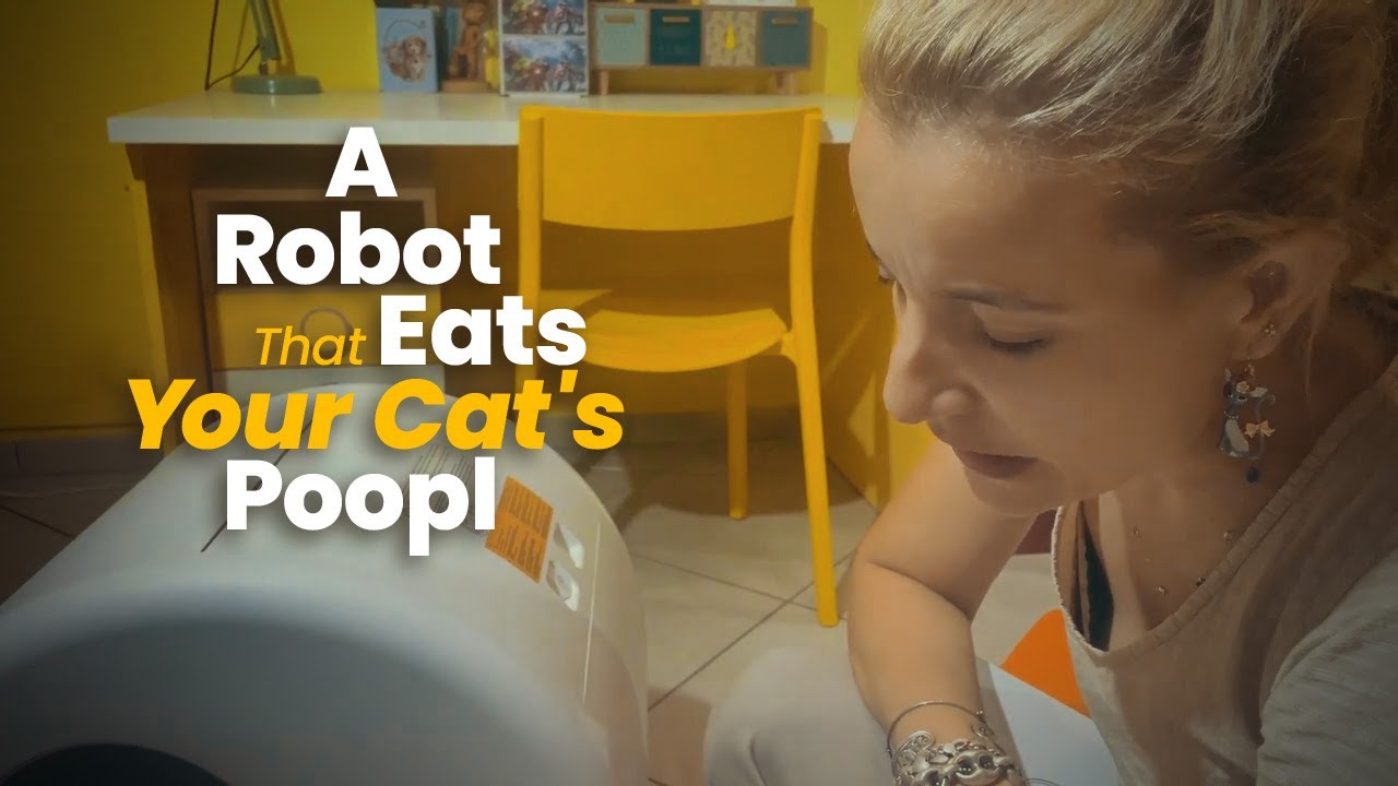 Un robot straordinario per la pulizia della lettiera del tuo gatto