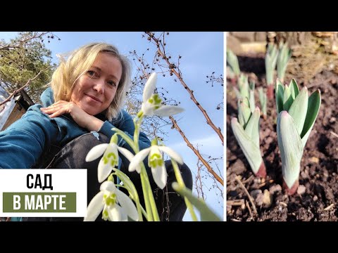 Spring has come so early this year! Vlog 1