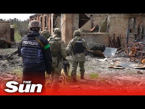 Ukrainian police examine destroyed homes near Kyiv