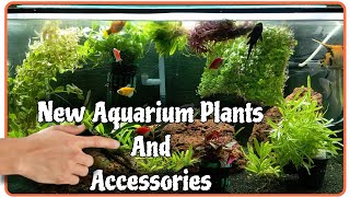 New Aquarium Plants And Accessories Buying To Galiff Street । Pets Vlogger by Pets Vlogger 59 views 2 months ago 1 minute, 30 seconds