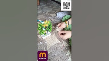 Take QR code screenshot and scan it from 