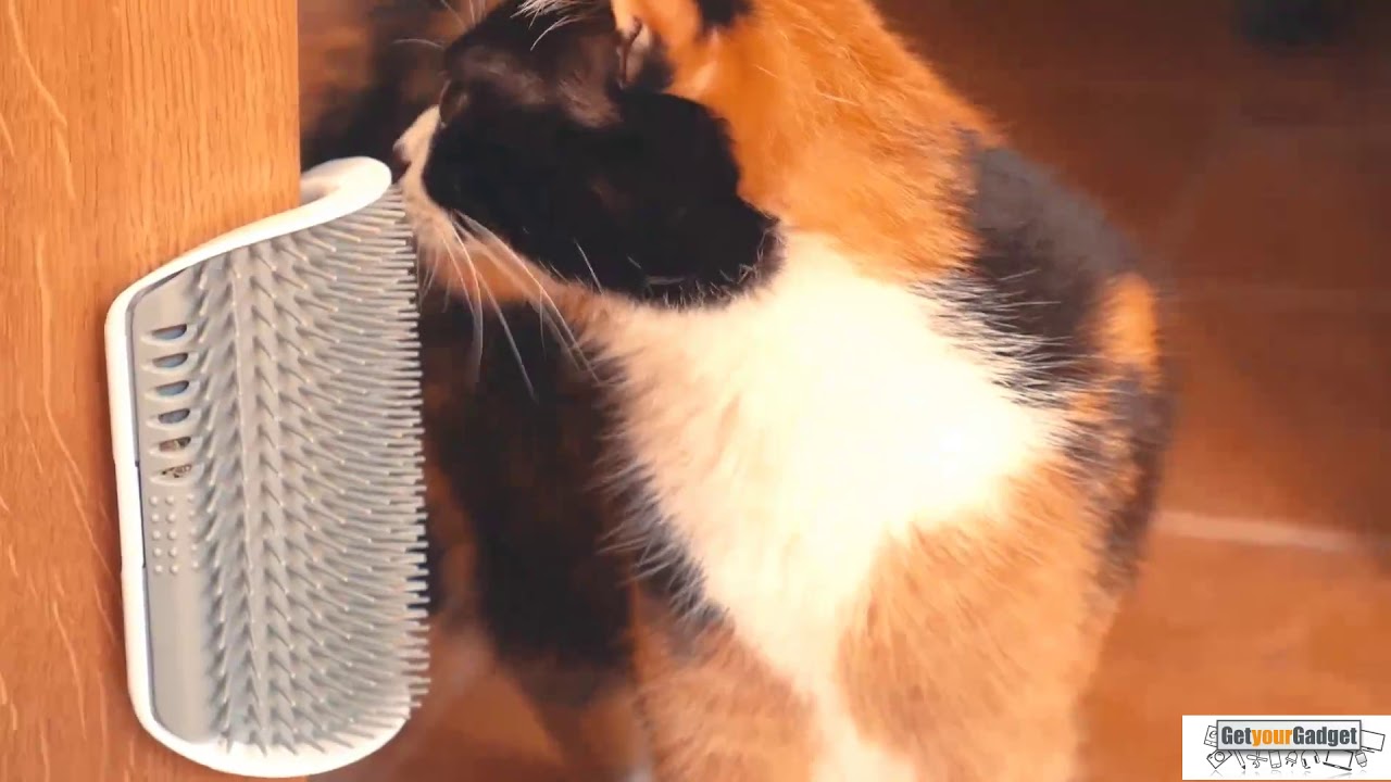 Katzen Türrahmen Kratzer - GetyourGadget