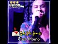 الشاب مومو باي باي