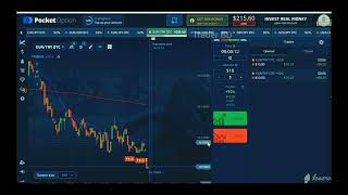 100 Trading Pocket Option Trader Bd