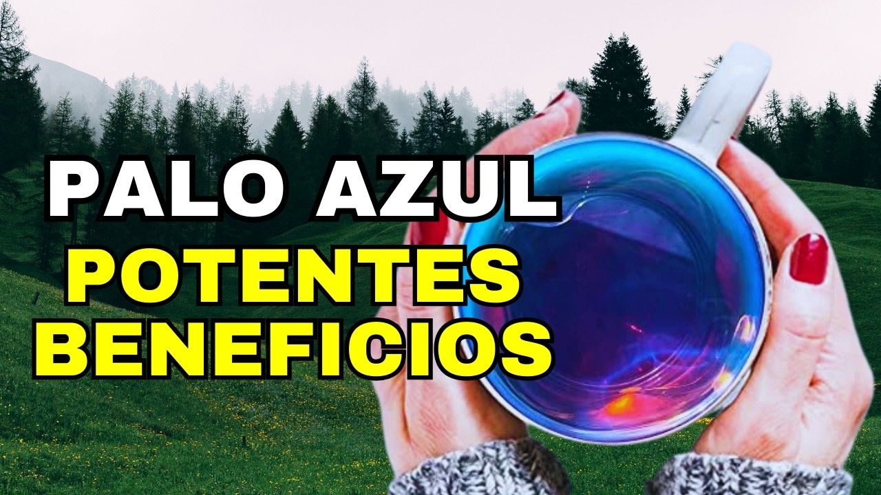 Propiedades Medicinales Del PALO AZUL o Palo DULCE, VARA Dulce O CUATE ...