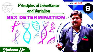Principle Of Inheritance And Variation L9  NADEEM SIR