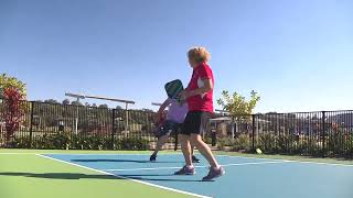 My Halcyon Days: What the heck is pickleball? screenshot 5
