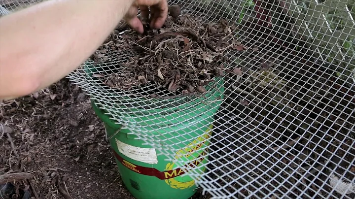 Back to Eden Chicken Run Composting! SO EASY!