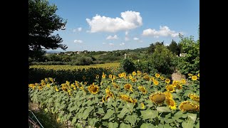 (UPDATE : SOLD) Before Renovation of an Old Italian House by How To Live In Umbria 8,031 views 2 years ago 10 minutes, 15 seconds