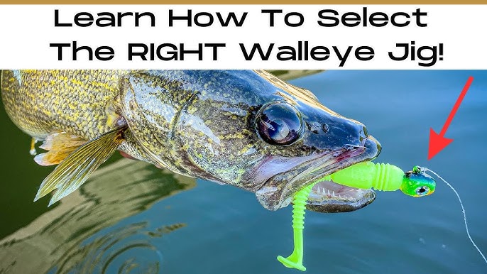 Spring River Walleye Fishing Tips (Mississippi River Strategies) 
