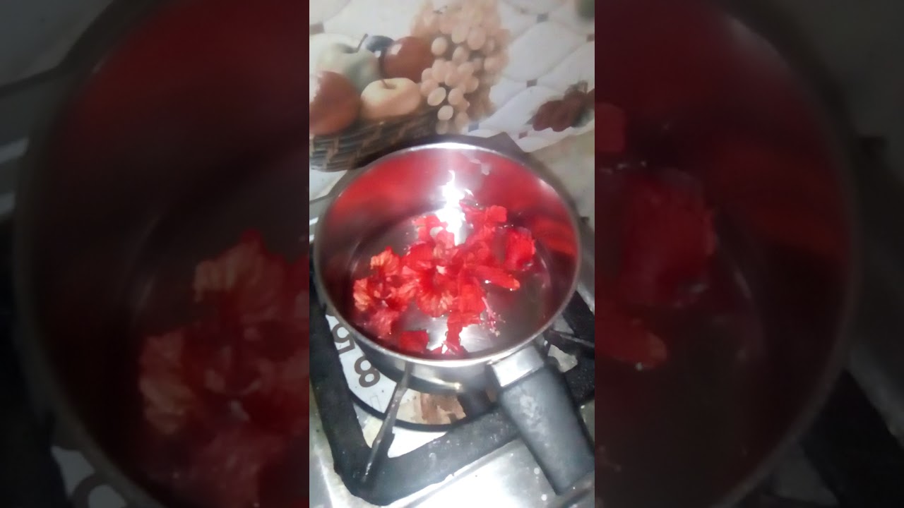 How to prepare a China rose Indicator at home. Full video YouTube