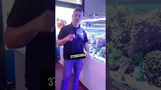 #aquarium #acquariomarino #aquascape #bea #aquariumfish #coralli