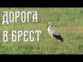 АВТО ПУТЕШЕСТВИЯ В РЕСПУБЛИКУ БЕЛАРУСЬ ДОРОГА ЧАСТЬ 2