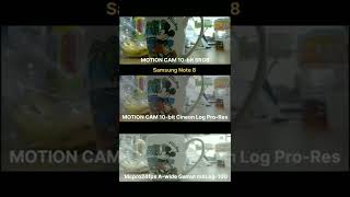 Motion Cam Pro 10-bit srgb VS. Motion Cam Pro 10-bit pro-res VS Mcpro24fps log
