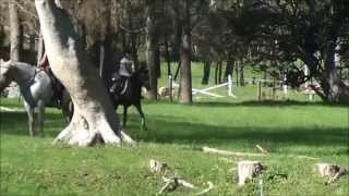 Pixie and Holly x country