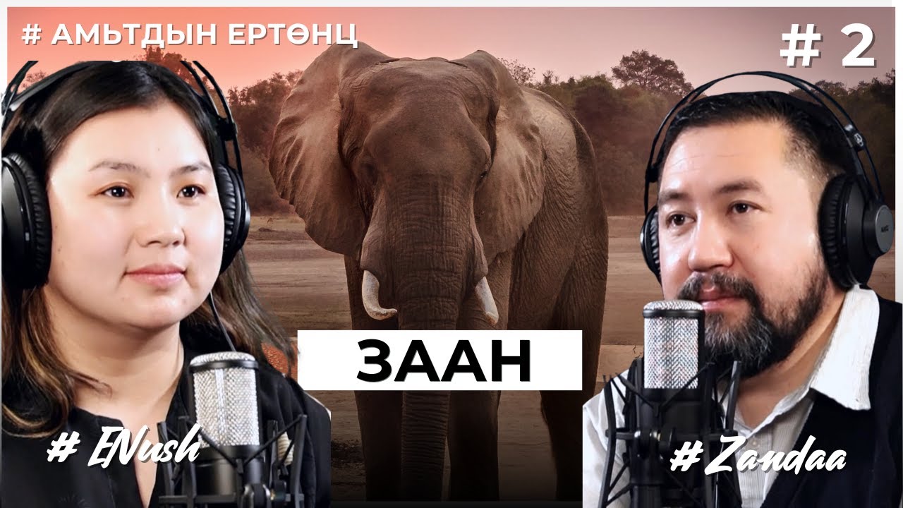 АМЬТДЫН ЕРТӨНЦ #2    Заан