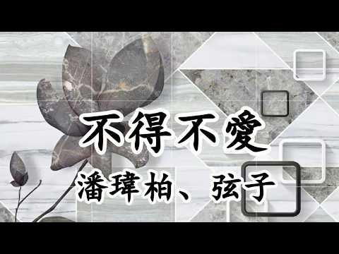 不得不愛 - 潘瑋柏、弦子 - 天天都需要妳愛 我的心思由妳猜 I love you 我就是要妳讓我每天都精彩【2019抖音熱門歌曲】