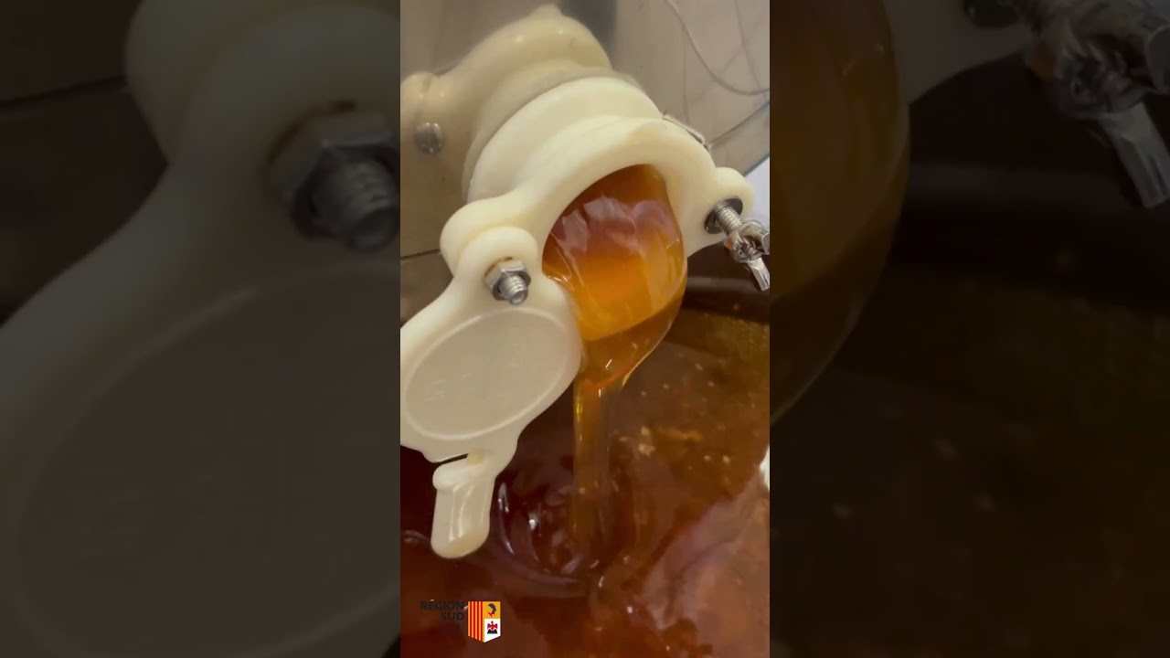 Formation reconversion professionnelle : APICULTURE  🐝🍯