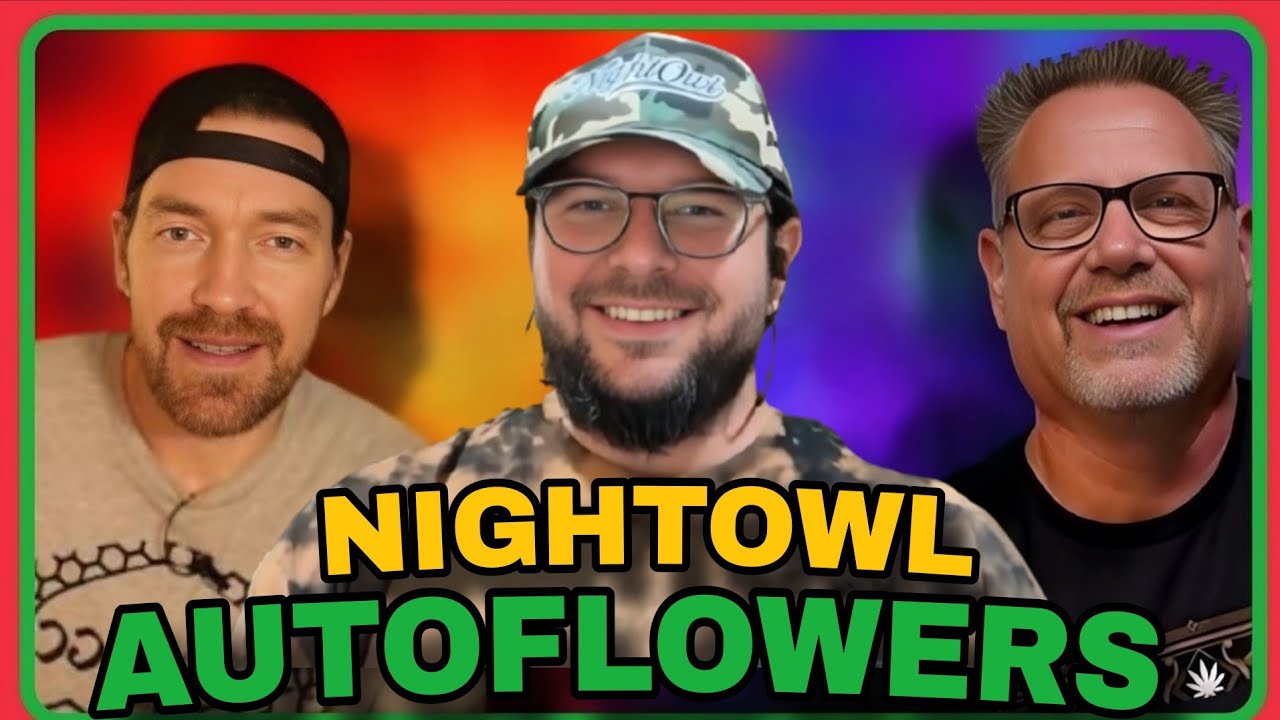 Autoflowers: Industry Insider Pro-Tips w/ Daz of Nightowl Genetics