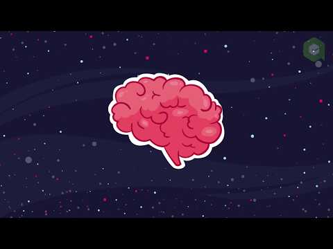 Video: Hvordan Hjernen Vår Forandrer Minner - Forskning, Egenutvikling