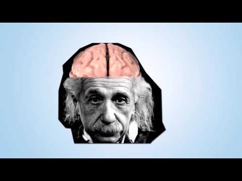 Video: Všetko O Mozgu