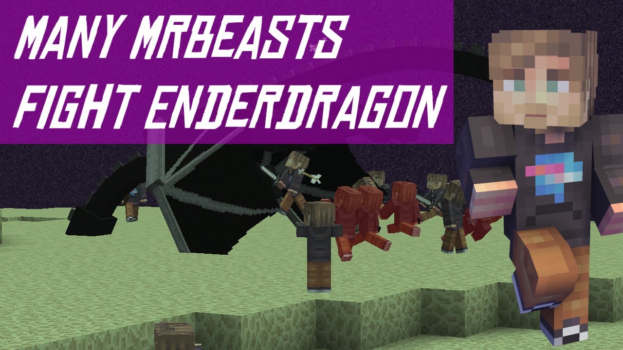 Many MrBeasts Fight Ender Dragon MINECRAFT