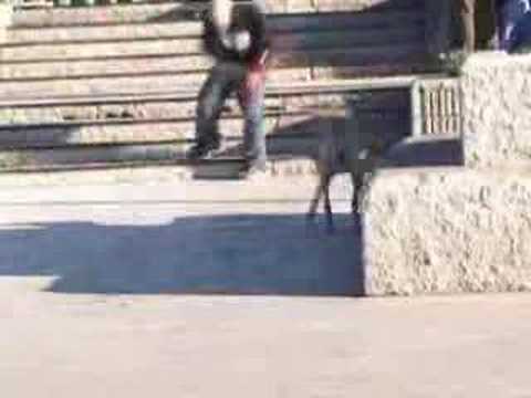 pt9 - Martin Avendao, Daniel Spencer - Vitan Ave C...