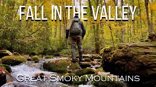 PEAK FALL COLOR || Fly Fishing the Great Smoky Mountains