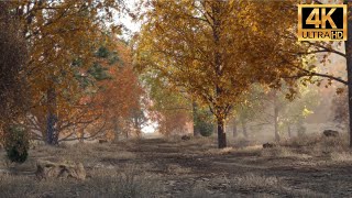 4K Blender Autumn Scene Animation Dibster
