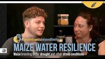 Beyond Seeds, beyond limits -  Maize water resilience