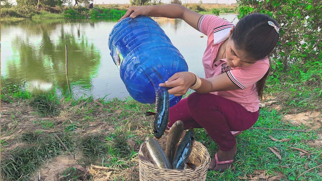 Amazing Smart Girl Makes Fish Trap Using Big Plastic Bottle To Catch A ...