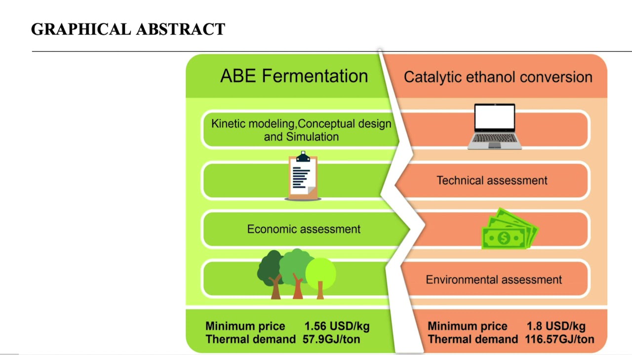 Scrutinizing biobutanol production pathways from biomass