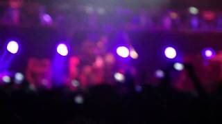 Carnaval de Brasil Andres Calamaro en Vivo