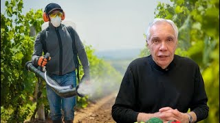 Let's talk about pesticide residue on vegetables | The Right Chemistry