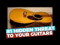 #1 HIDDEN THREAT to your guitars - D’Addario Humidipak - Does it work?