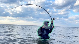 Searching an Elite Location for a Hot STRIPED BASS Bite!